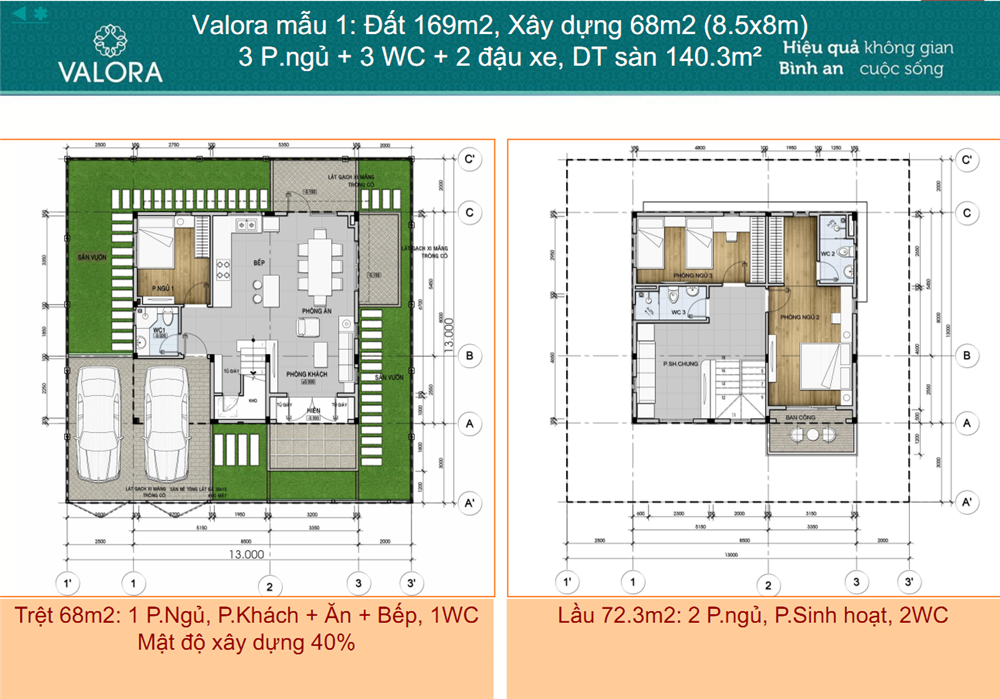  BT MẪU 1