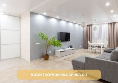 mượn tuổi mua nhà chung cư