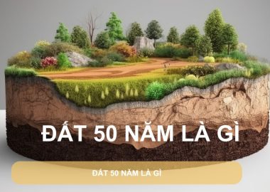 đất 50 năm là gì