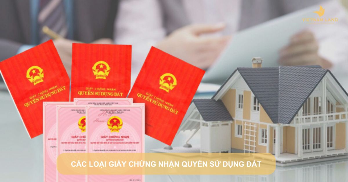 các loại giấy chứng nhận quyền sử dụng đất