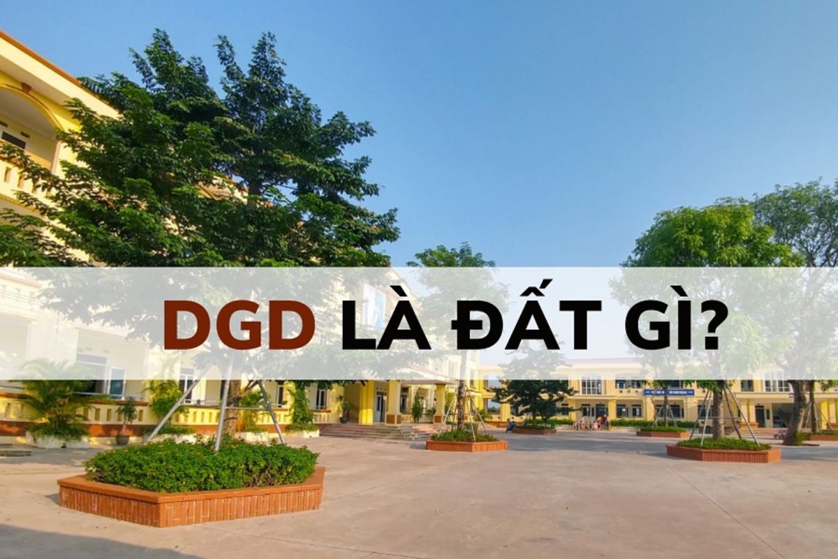 đất dgd là gì 6