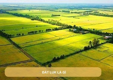 đất luk là gì