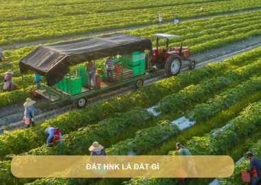 đất hnk là đất gì