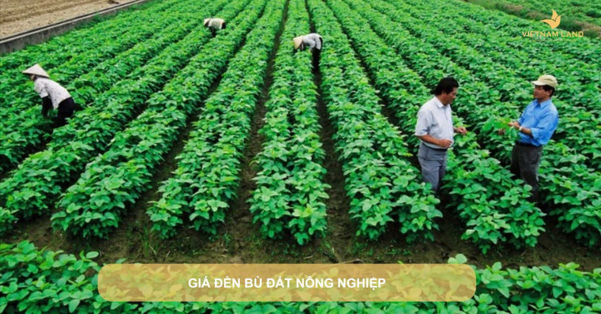 giá đền bù đất nông nghiệp