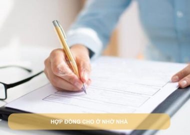 hợp đồng cho ở nhờ nhà