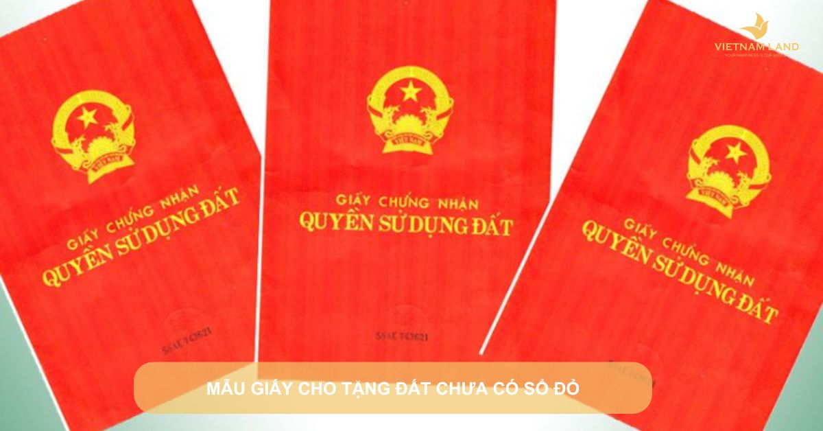 mẫu giấy cho tặng đất chưa có sổ đỏ