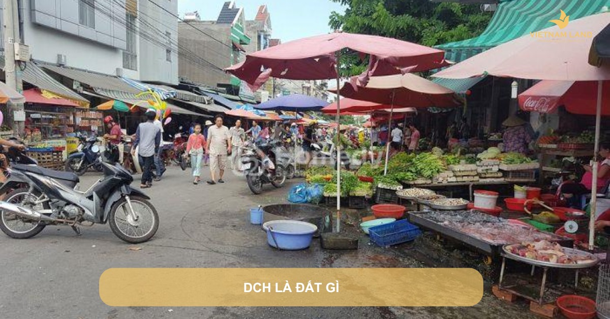 dch là đất gì